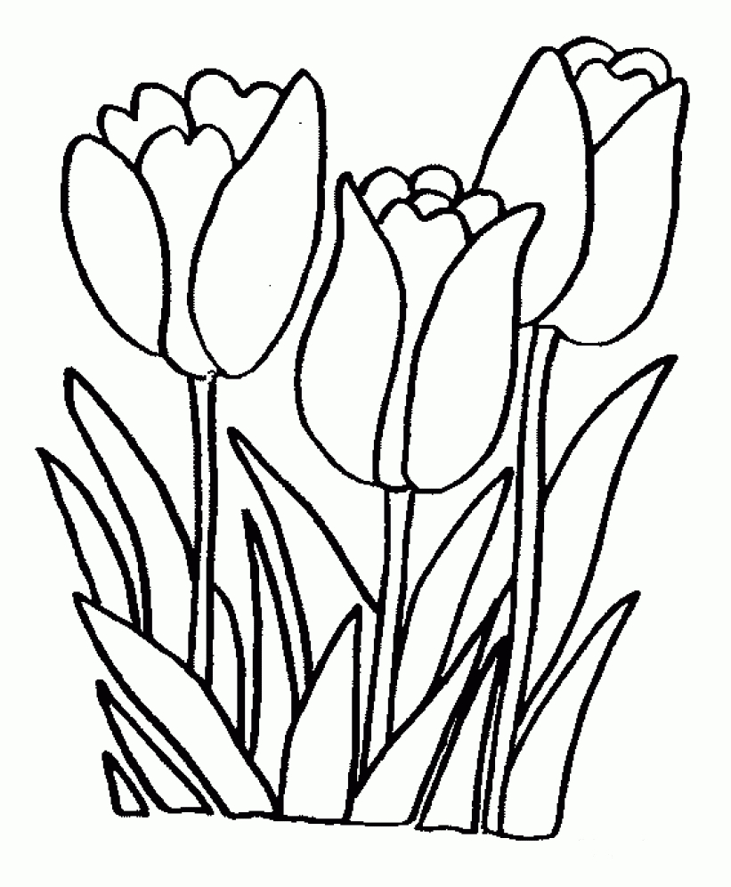 Printable Tulips Flower Coloring Pages | Watercolor | Tulip Colors - Free Printable Flower Coloring Pages
