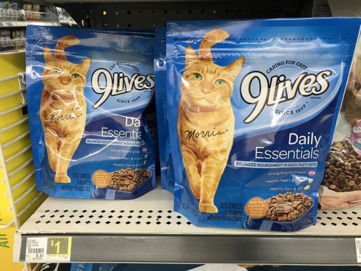 Free Printable 9 Lives Cat Food Coupons