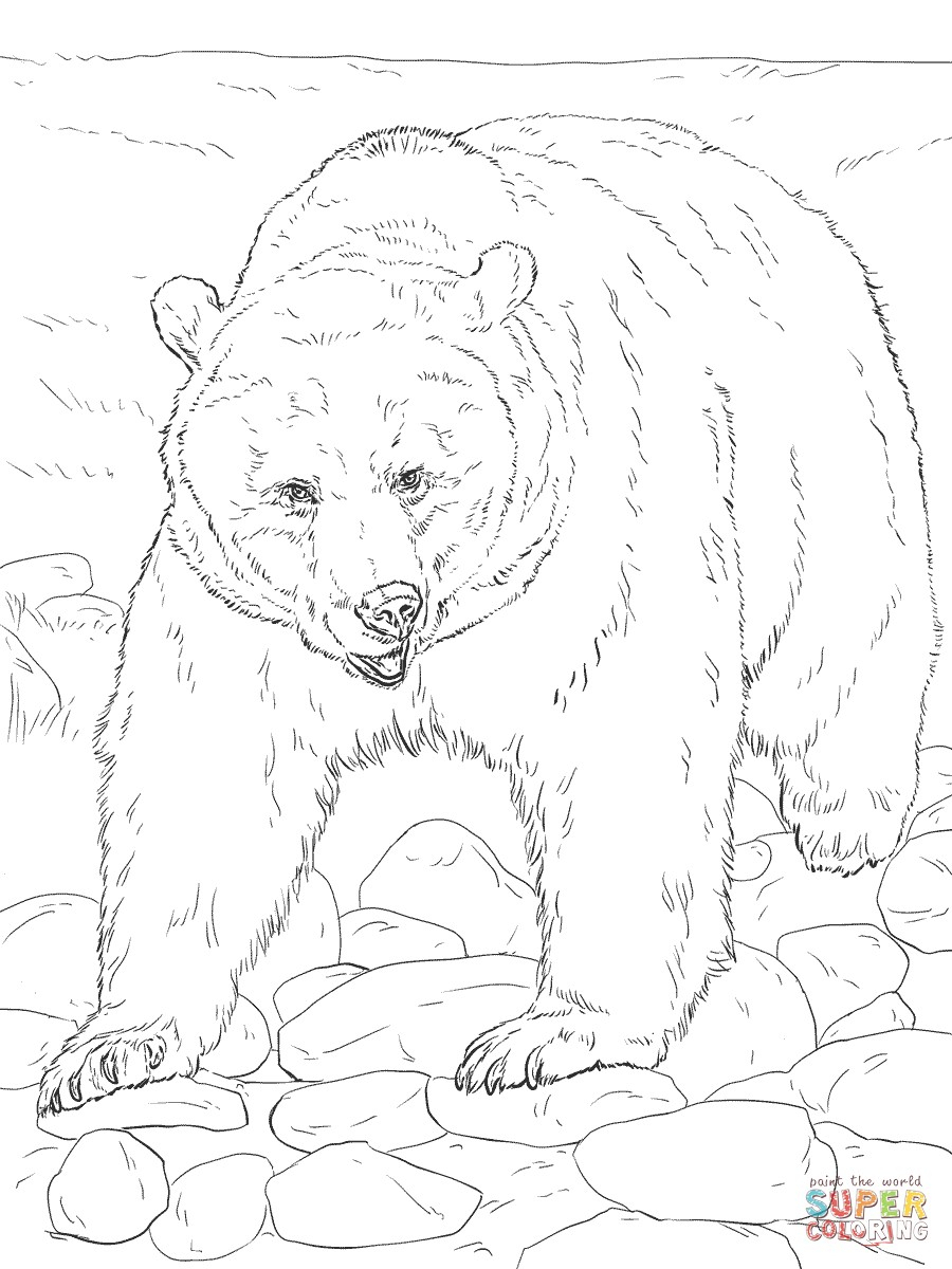 Realistic Animal Coloring Pages - Free Printable Wild Animals - Free Printable Wild Animal Coloring Pages