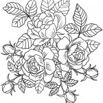 Roses Flowers Coloring Page | Free Printable Coloring Pages   Free Printable Coloring Pages