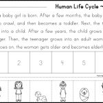 Sequencing Stories ~ Human Life Cycle | Taking Care Of My Body   Free Printable Sequencing Worksheets 2Nd Grade