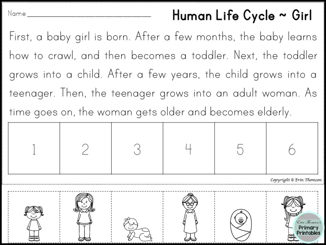Sequencing Stories ~ Human Life Cycle | Taking Care Of My Body - Free Printable Sequencing Worksheets 2Nd Grade