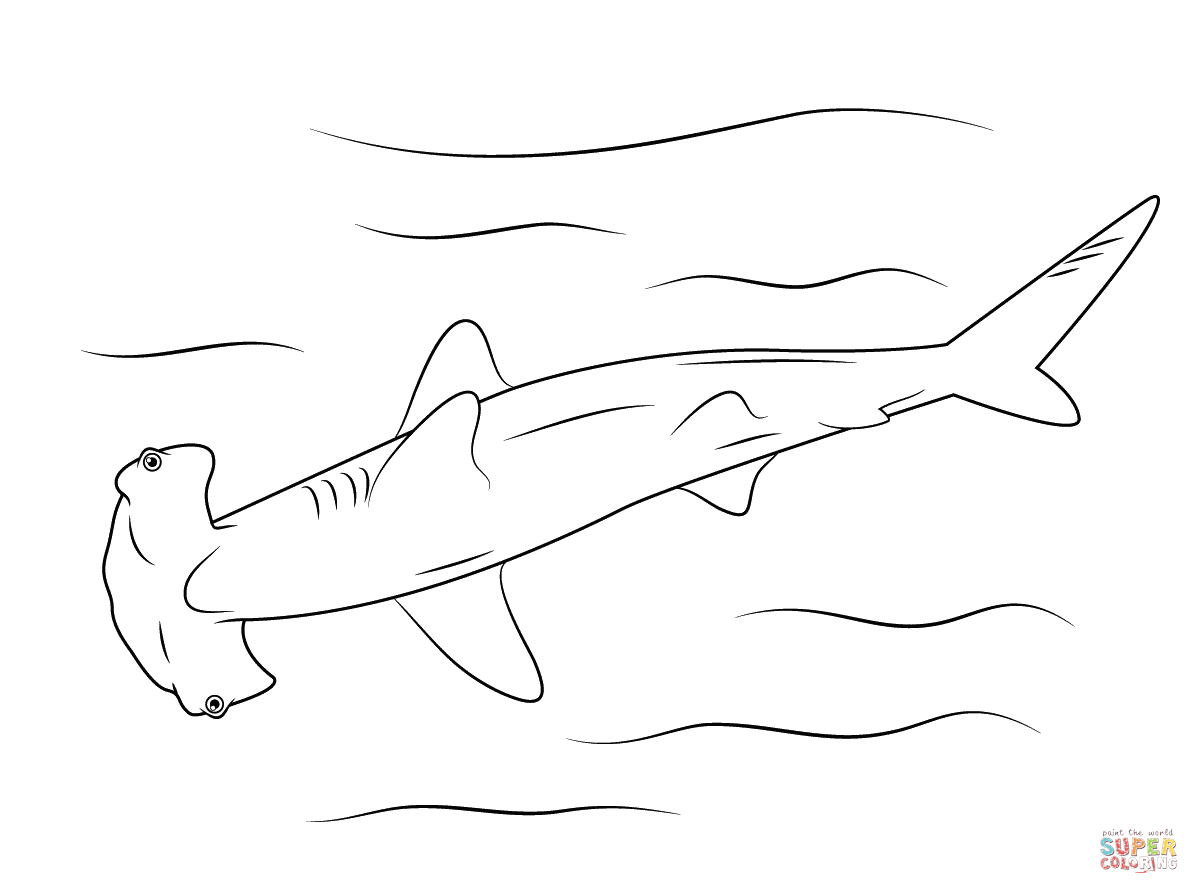 Sharks Coloring Pages | Free Coloring Pages - Free Printable Shark Coloring Pages