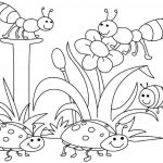 Springtime Coloring Pages Spring Kindergarten Sketch   Free   Spring Coloring Sheets Free Printable
