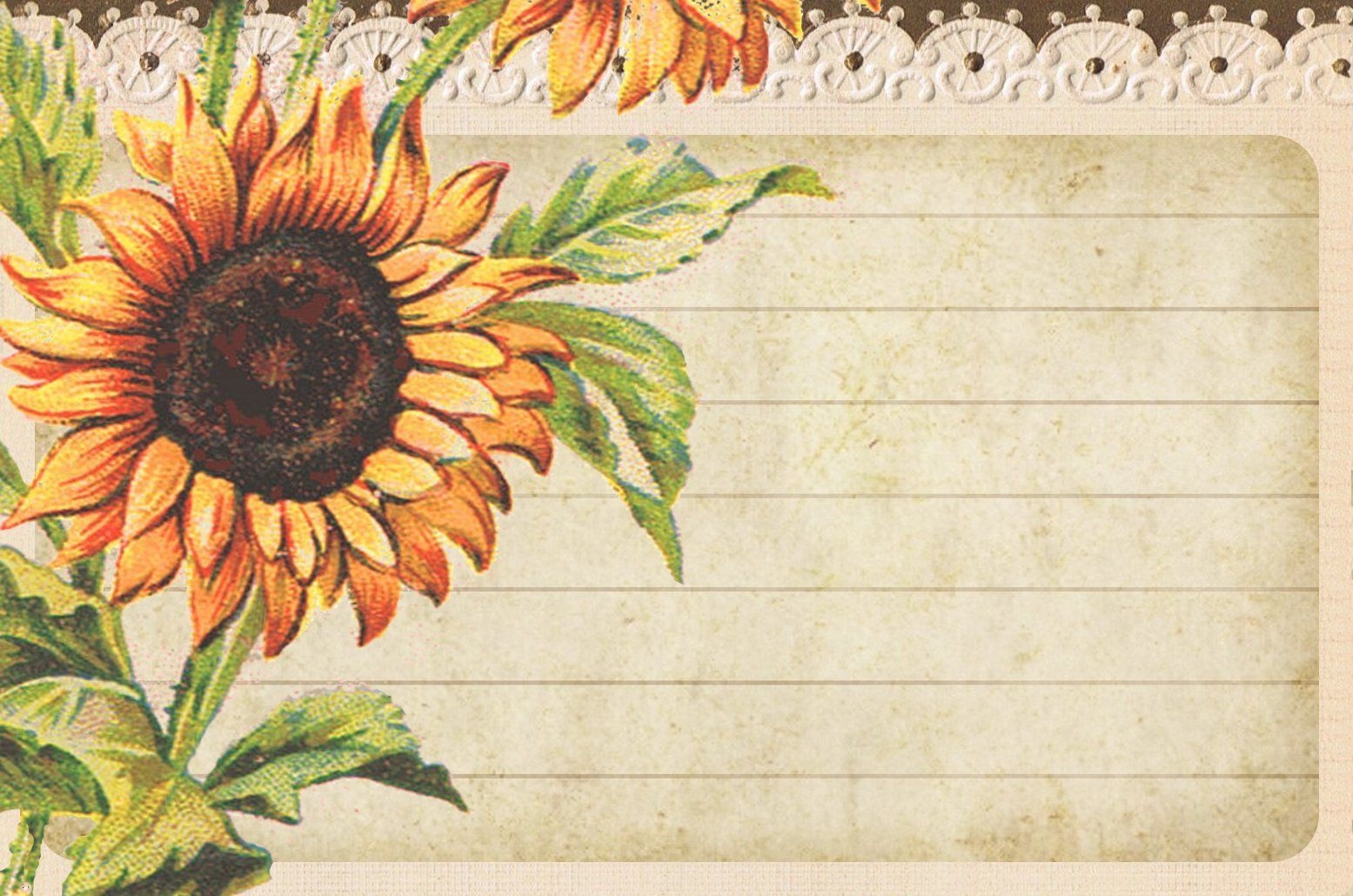 Sunflowers ~ Post Card Sized, Lined Card | Graphics: Lilac - Free Printable Sunflower Stationery
