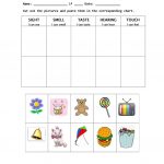 The Five Senses Worksheet   Free Esl Printable Worksheets Made   Free Printable Worksheets Kindergarten Five Senses