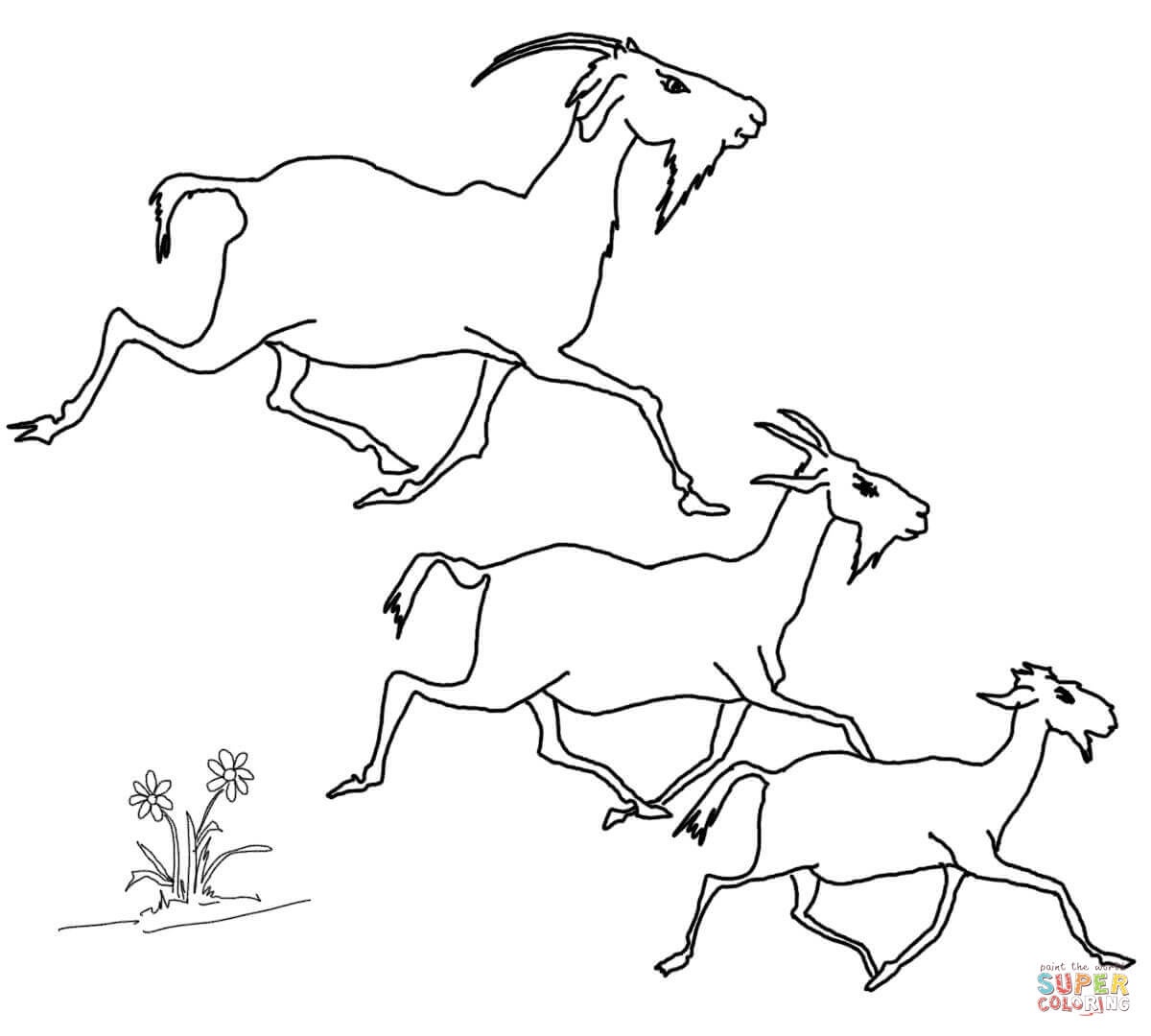 Billy Goats Gruff Coloring Page Lovely Free Printable Colour In Role Three Billy Goats Gruff