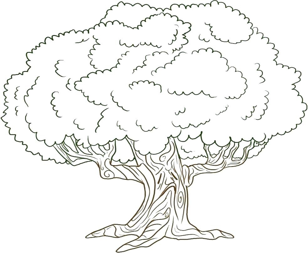 Trees Coloring Page Adult Coloring Pages Tree Lorax Trees Coloring - Tree Coloring Pages Free Printable