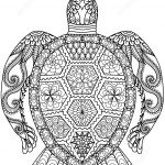Turtle Zentangle Coloring Page | Free Printable Coloring Pages   Free Printable Zen Coloring Pages