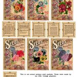 Vintage Seeds Art Free Print | Free Antique Flower Seed Packets   Free Printable Vintage Pictures