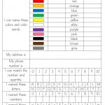 Wild & Fun In Pre K: Assessment  Great Data Collection Sheets But I   Free Printable Pre K Assessment Forms