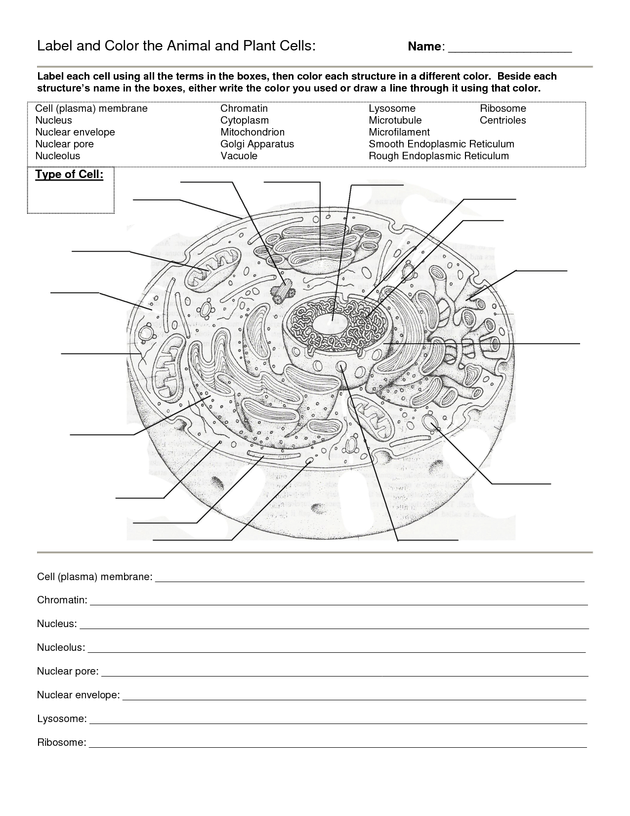Worksheet : Animal Cell Coloring Animal Color Page Worksheet And - Free Printable Cell Worksheets