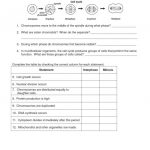 Worksheet: Ecology Worksheet. Counting Money Worksheets 3Rd Grade   Free Printable Act Practice Worksheets