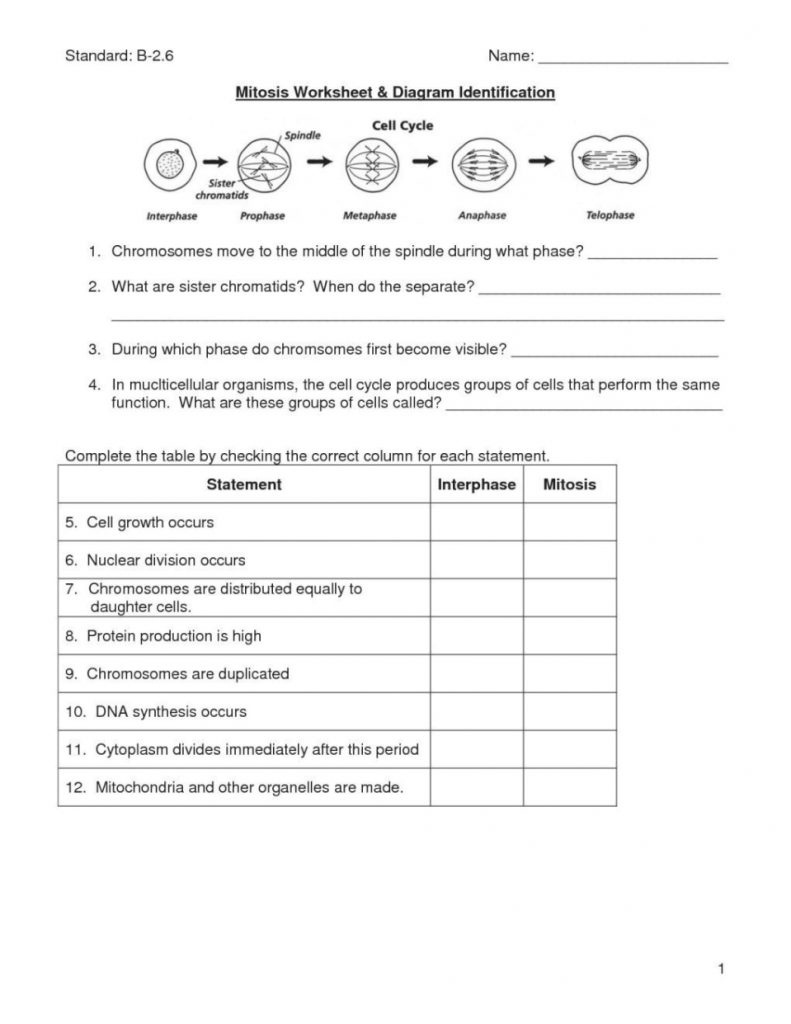 Worksheet: Ecology Worksheet. Counting Money Worksheets 3Rd Grade - Free Printable Act Practice Worksheets