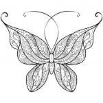 Zentangle Butterfly Coloring Page | Free Printable Coloring Pages   Free Printable Butterfly Coloring Pages